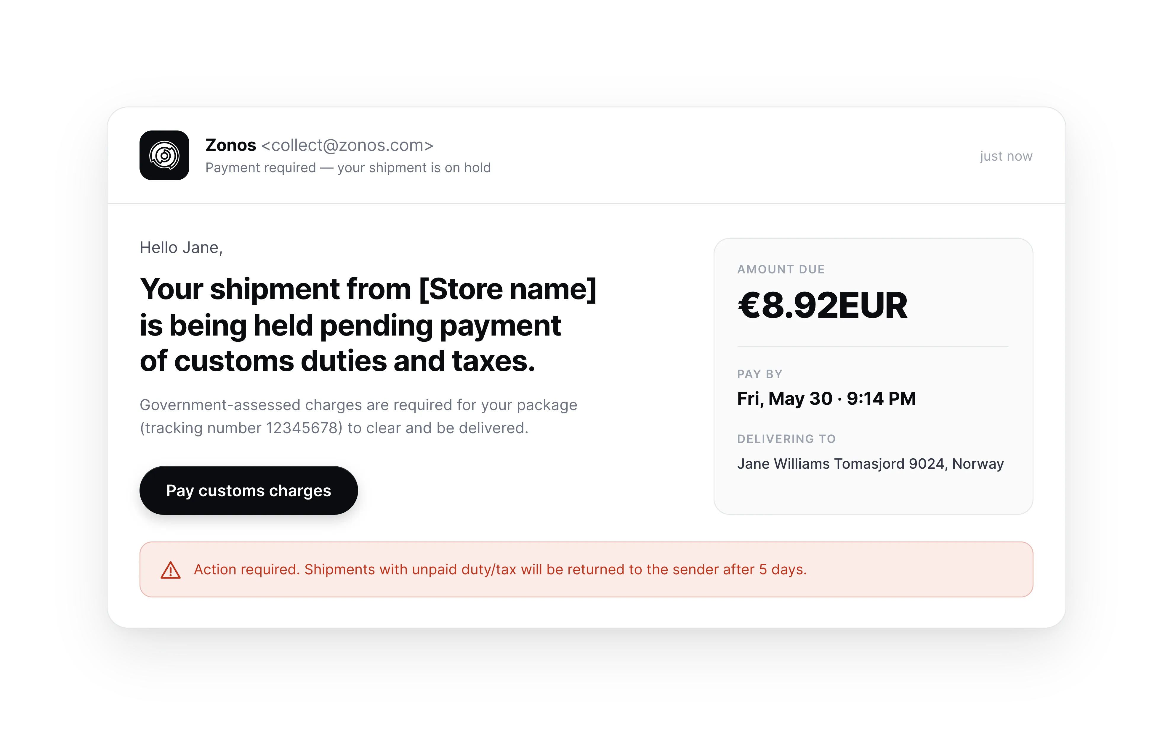 Branded payment notification email with duty and tax breakdown